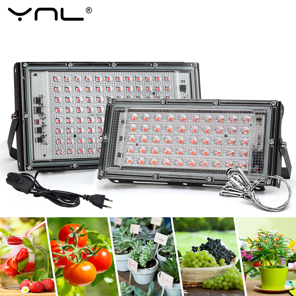 Grow Tent Complete Kit - Full Spectrum LED Grow Light Phyto