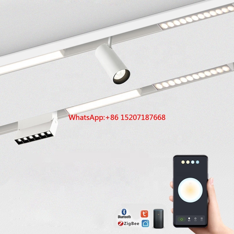 Smart Zigbee Garden Light - 20W Track Spotlight LED Tuya ZigBee