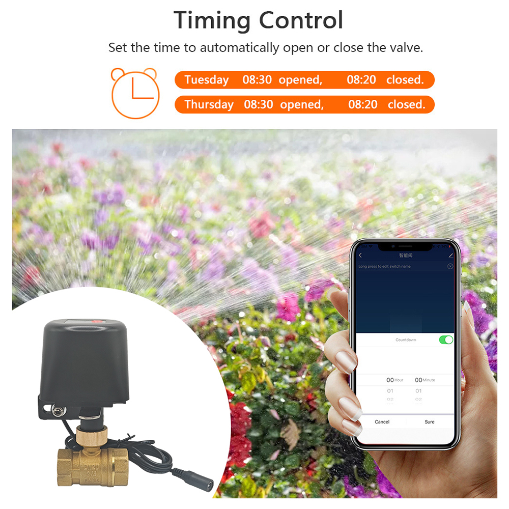 Tuya Smart Water Valve​ DN15/D – обзор и цена Smart Garden Home Assistant