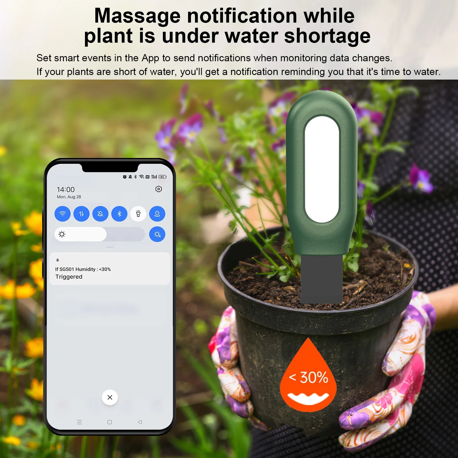 Haozee Tuya Zigbee Soil Sensor – обзор и цена Smart Garden Home Assistant