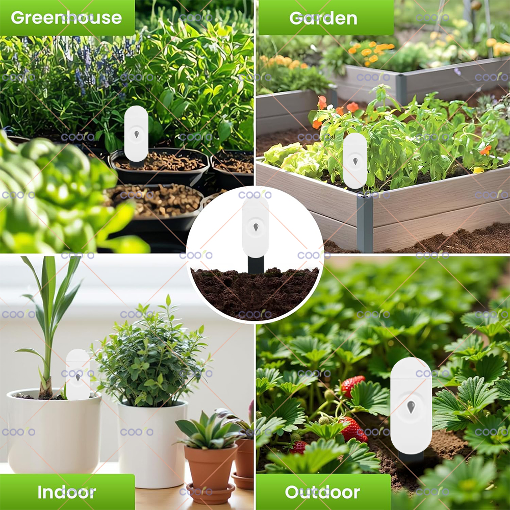 Zigbee Smart Soil Tester Humid – обзор и цена Smart Garden Home Assistant