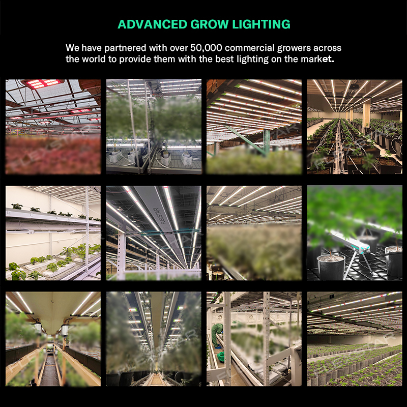 Lm301h Evo 281b Full Spectrum  – обзор и цена Plant Grow Light Full Spectrum
