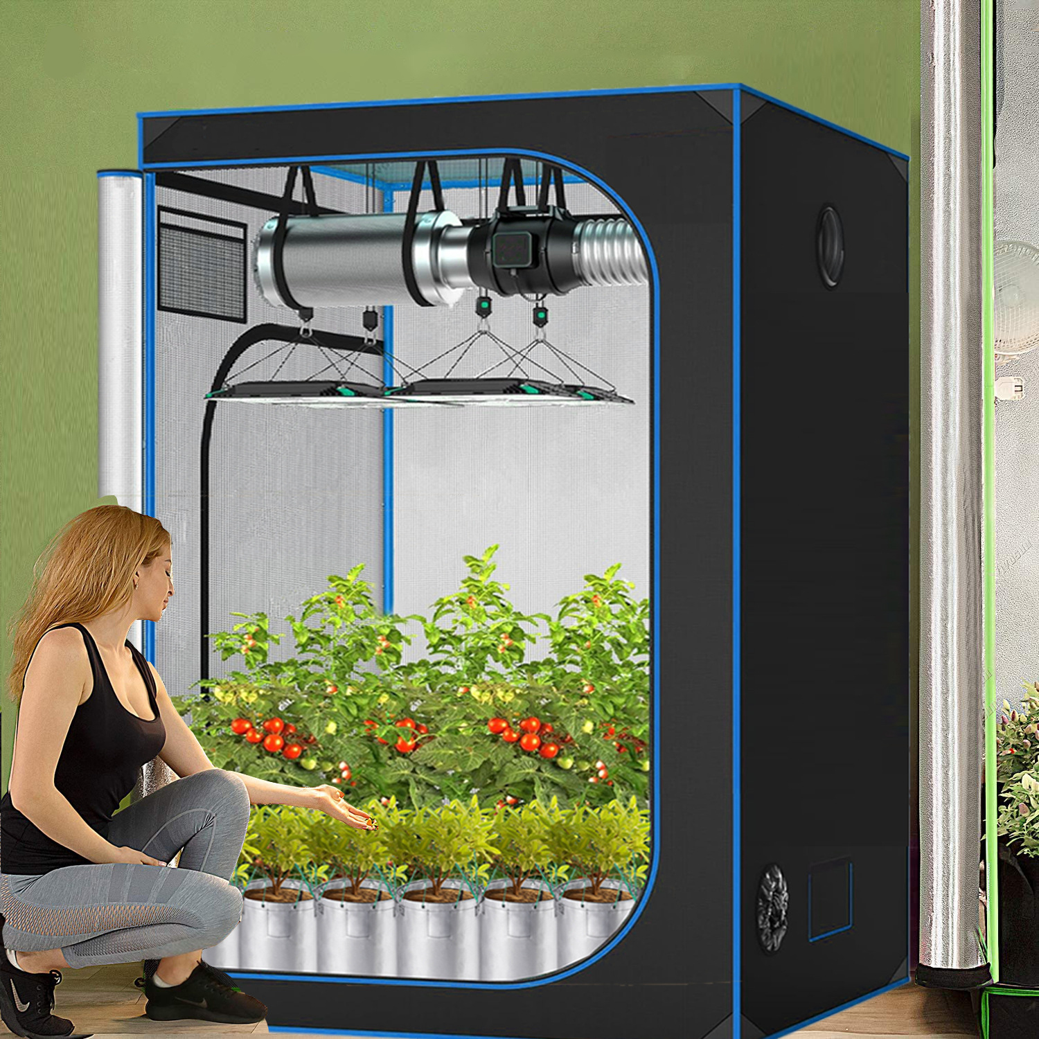 C3 Greenhouse Indoor Grow Tent – обзор и цена Grow Tent Complete Kit
