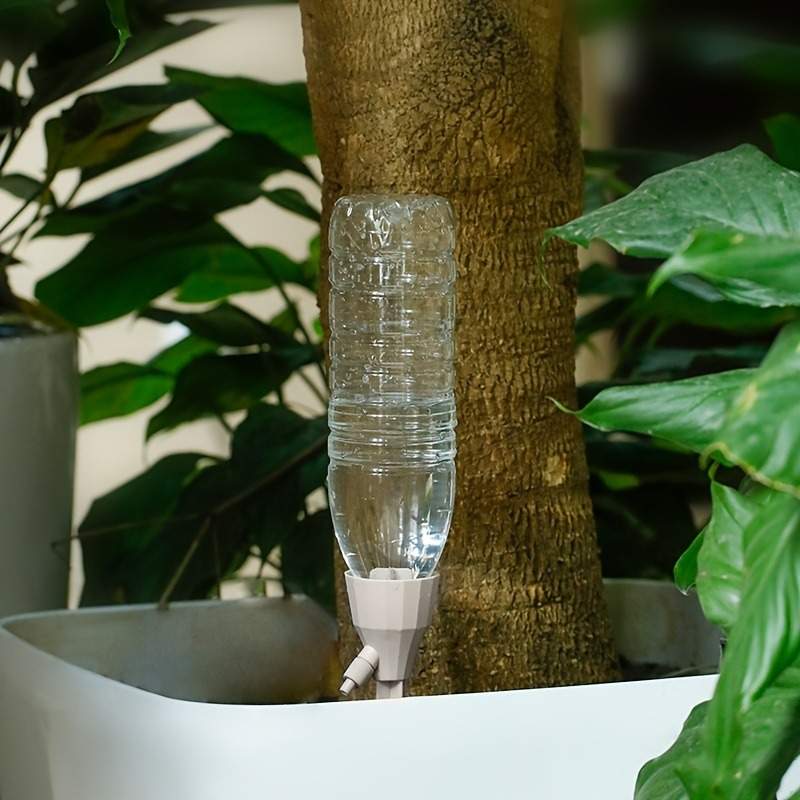 5pcs Automatic Watering Device – обзор и цена Smart Zen Garden