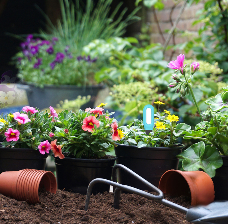New Upgrade Soil Sensor Humidi – обзор и цена Smart Garden Home Assistant