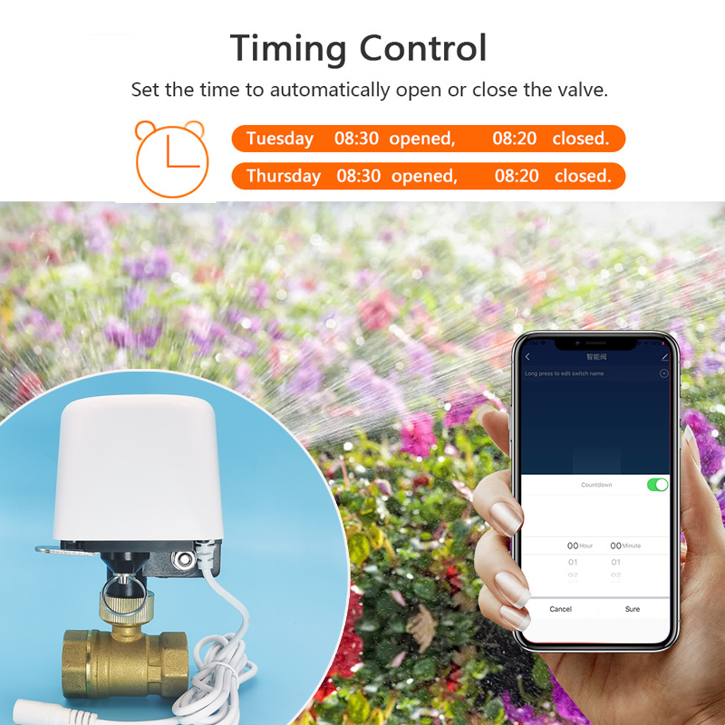 Tuya Wifi Zigbee Water Valve G – обзор и цена Smart Garden Home Assistant