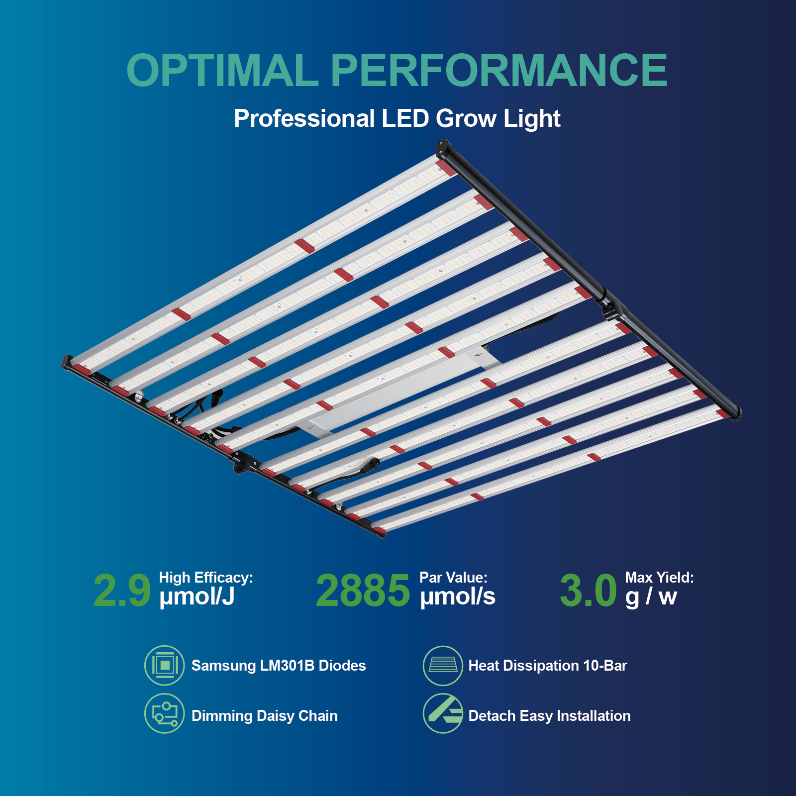 ETL 240W 320W 600W 800W 1000W  – обзор и цена Plant Grow Light Full Spectrum