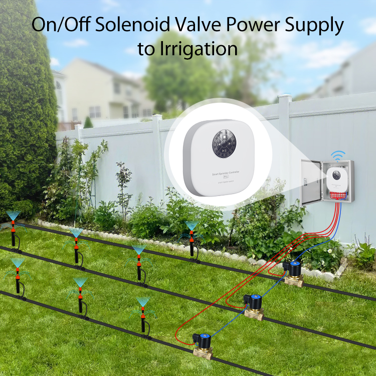 Tuya WiFi Sprinkler Controller – обзор и цена Wifi Irrigation Timer