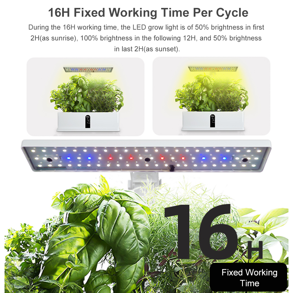 Smart Hydroponics Growing Syst – обзор и цена Smart Garden Led Lights