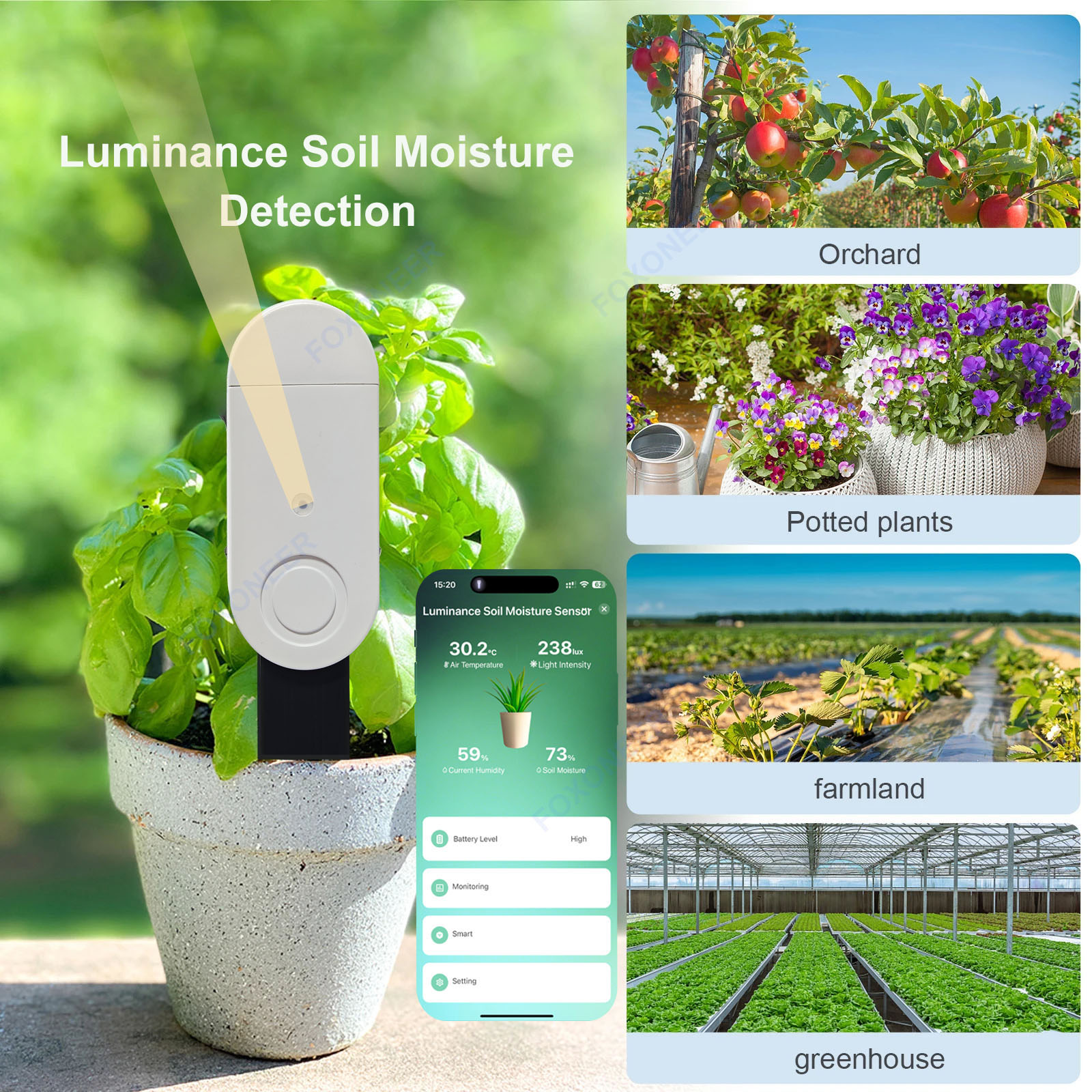 Zigbee 3.0 Smart Soil Tester L – обзор и цена Smart Garden Home Assistant